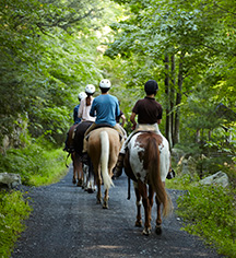 Activities:
Mohonk Mountain House
in New Paltz