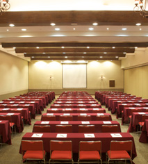 Meetings at
Hacienda Jurica by Brisas
in Queretaro