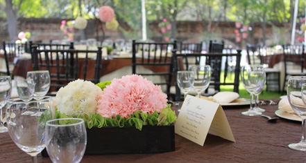 Weddings:
Hacienda Jurica by Brisas
in Queretaro