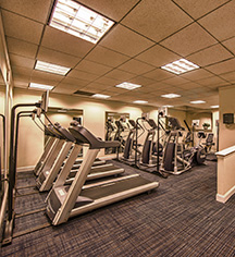 Activities:
The Jefferson Hotel
in Richmond