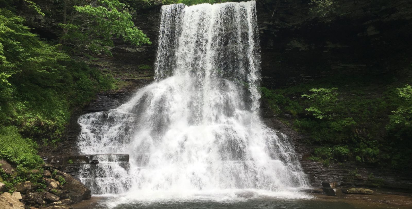 Explore Cascade Falls in the George Washington and Jefferson National Forest, led by a Mountain Lake Lodge’s Naturalist.
