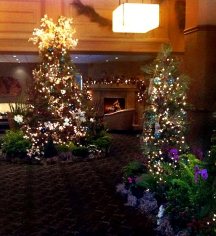 Activities:
Sofia Hotel
in San Diego