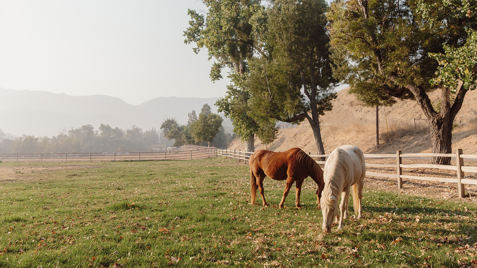 Explore the historic core of downtown Solvang, founded in 1911 by Danish immigrants.