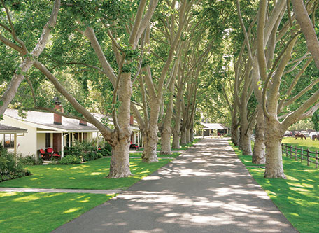 The Alisal Guest Ranch & Resort
