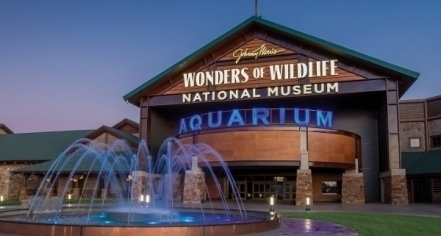 Wonders Of Wildlife National Museum & Aquarium