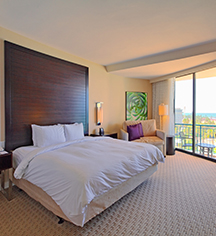 Caribe Hilton
in San Juan