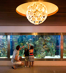 Activities:
The Condado Plaza Hilton
in San Juan
