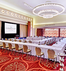 Meetings at
The Condado Plaza Hilton
in San Juan