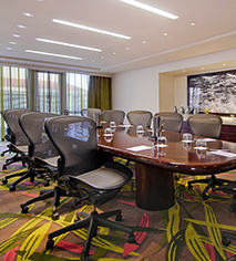 Meetings at
The Condado Plaza Hilton
in San Juan