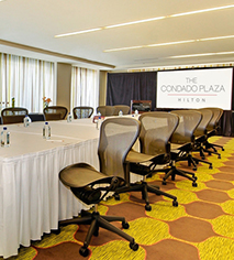 Venues & Services:
The Condado Plaza Hilton
in San Juan