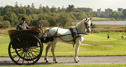 Event Calendar:
Dromoland Castle Hotel
in County Clare