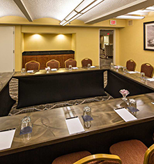 Venues & Services:
Hilton St. Louis Downtown at the Arch
in St. Louis