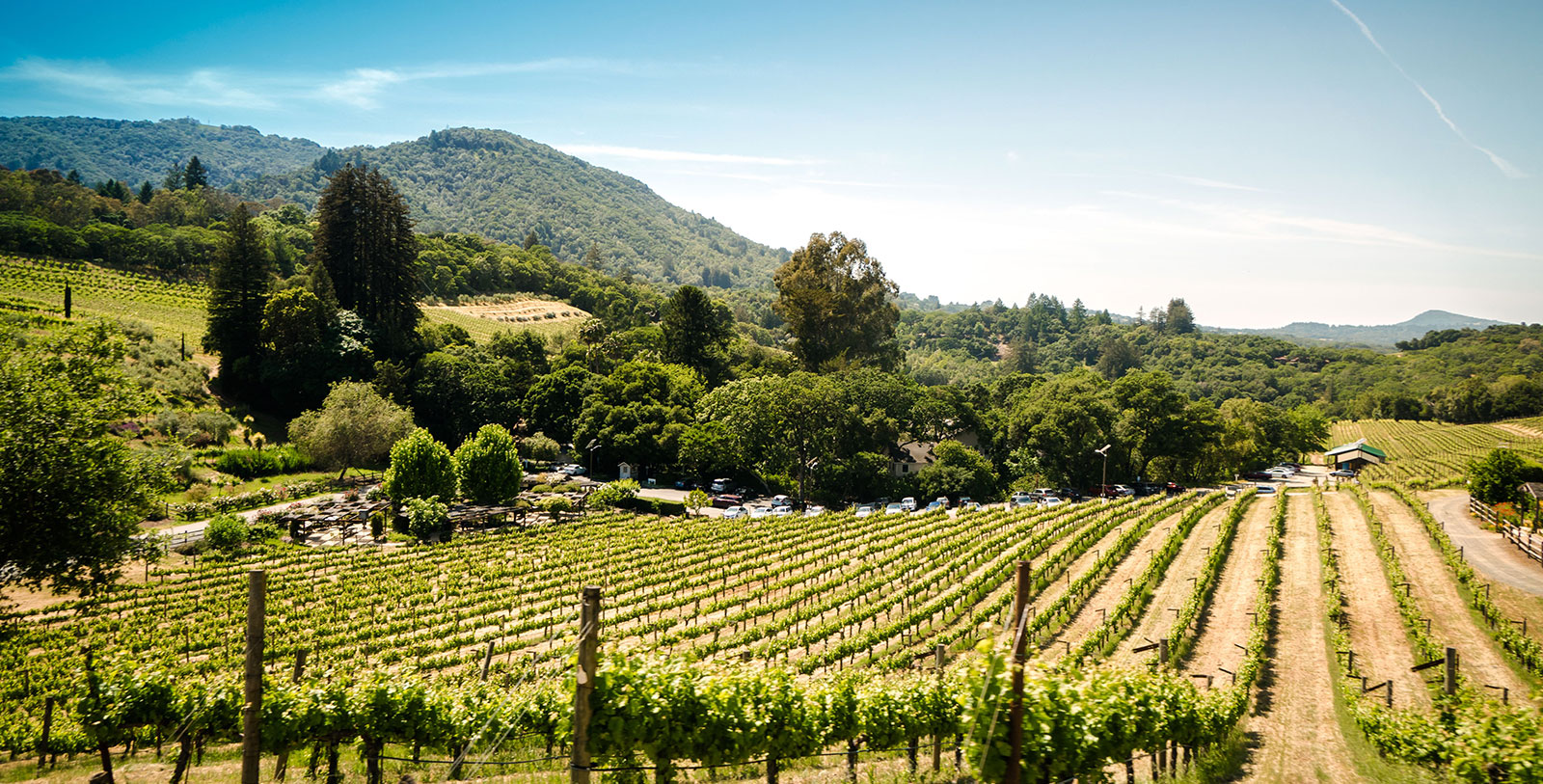 Experience a wine tour through the gorgeous Sonoma County wine country with the hotel's tour partner, Platypus Tours.