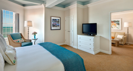 Accommodations:
The Don CeSar
in St. Pete Beach