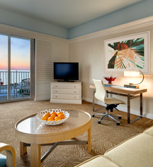 Accommodations:
The Don CeSar
in St. Pete Beach