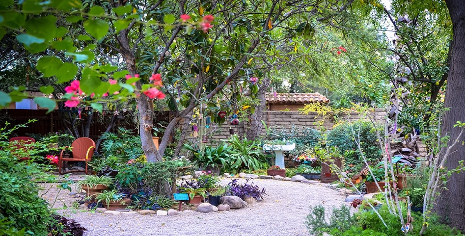Experience the Tucson Botanical Gardens.