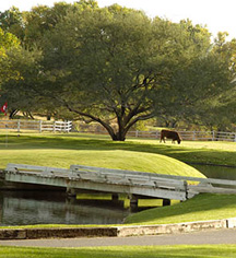 Local Attractions:
Tubac Golf Resort and Spa
in Tubac