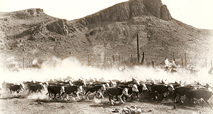 Ghost Stories:
White Stallion Ranch
in Tucson