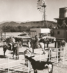 Ghost Stories:
White Stallion Ranch
in Tucson