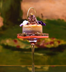 Activities:
Hotel Papadopoli Venezia - MGallery by Sofitel
in Venice