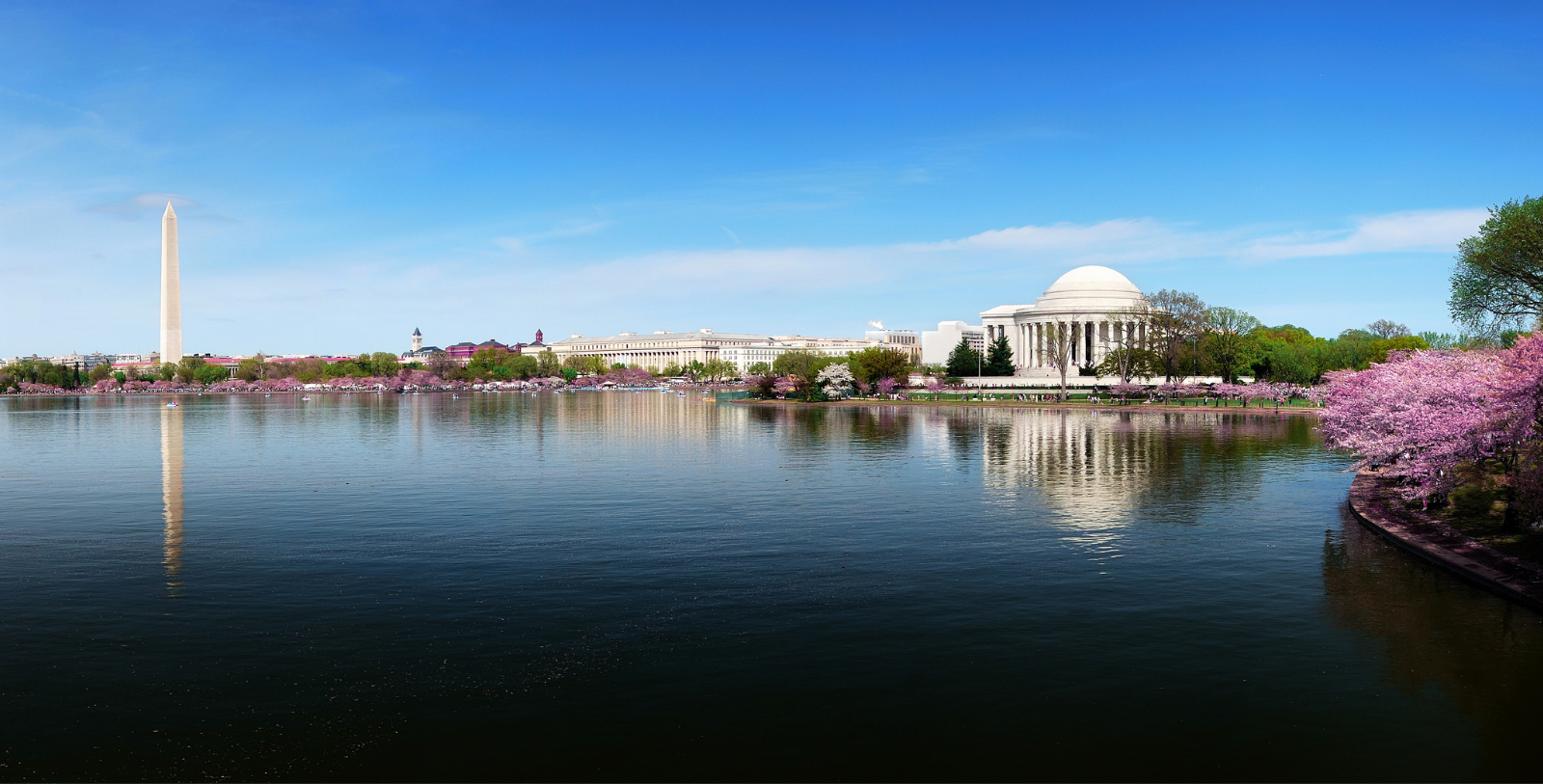 Experience the White House, the Washington Monument, the Franklin Delano Roosevelt Memorial, and the National Mall just moments away.