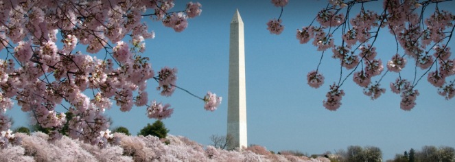 Activities:
The Morrison-Clark Inn
in Washington
