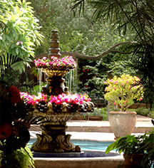 Spa:
Hacienda de los Santos
in Alamos