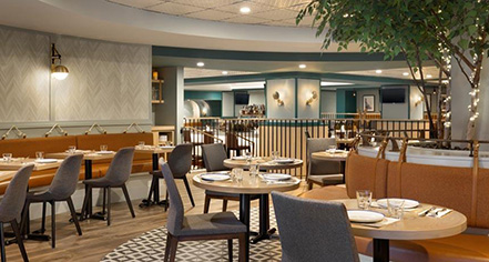 Dining at
Fairmont Chateau Lake Louise
in Lake Louise