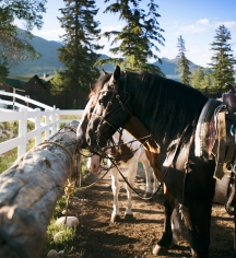 Event Calendar:
Fairmont Jasper Park Lodge
in Jasper