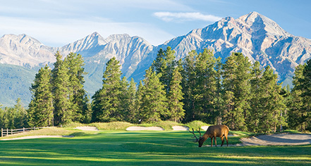 Fairmont Jasper Park Lodge
in Jasper