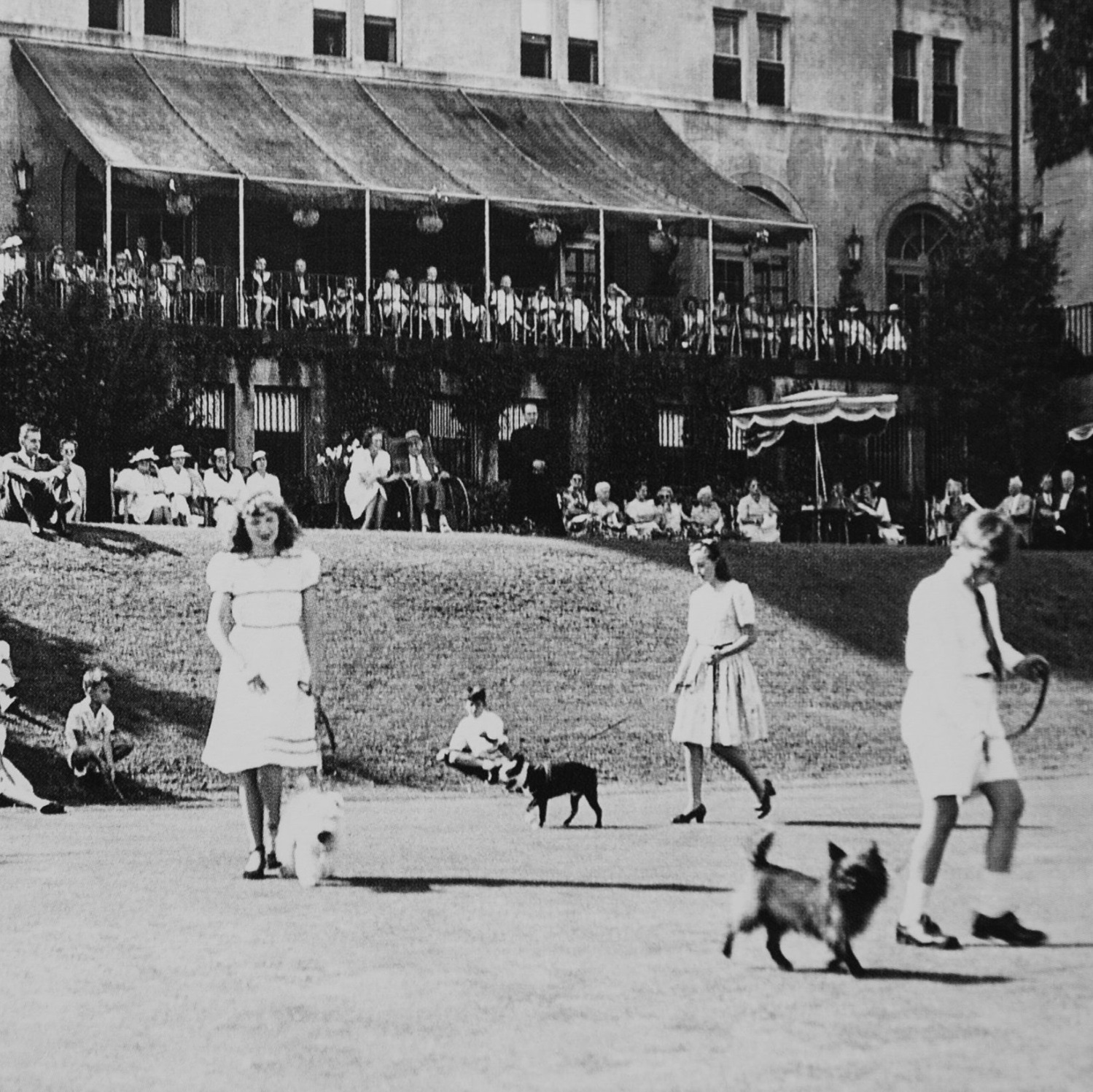 Historical Image of Dog Show at Fairmont Le Manoir Richelieu, 1899, Member of Historic Hotels Worldwide, in Charlevoix, Canada.