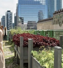 Event Calendar:
Fairmont Royal York
in Toronto