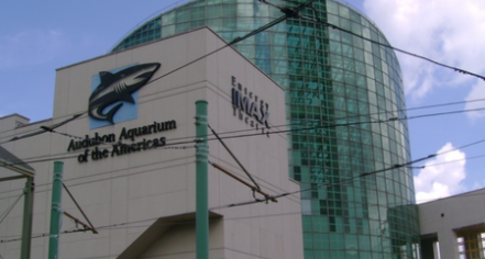 Audubon Aquarium Of The Americas